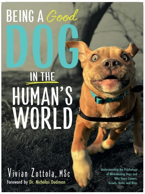Being A (Good) Dog In The Human's World: Understanding the Psychology of Misbehaving Dogs and Why Yours Cowers, Growls and Bites