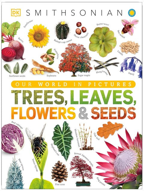 Trees, Leaves, Flowers & Seeds: A Visual Plant Encyclopedia for Kids (DK Our World in Pictures)
