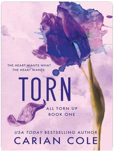 Torn (All Torn Up Book 1)