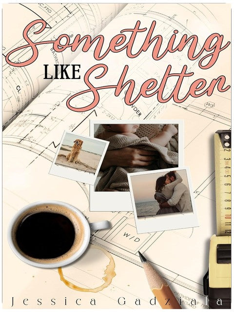 Something Like Shelter