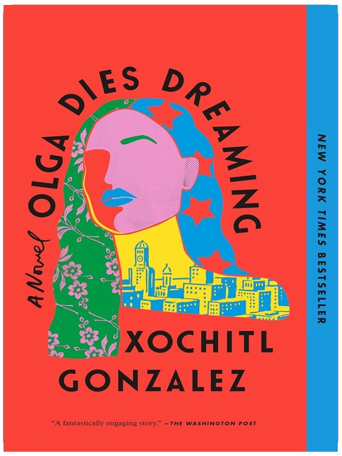 Olga Dies Dreaming: A Novel