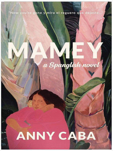 Mamey: a Spanglish novel