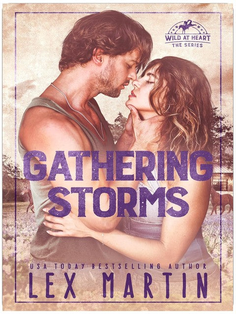 Gathering Storms (Wild at Heart Book 4)