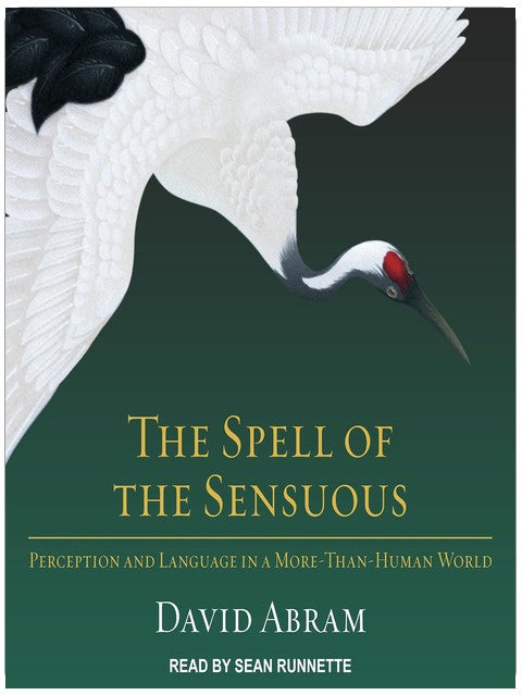 The Spell of the Sensuous: Perception and Language in a More-Than-Human World