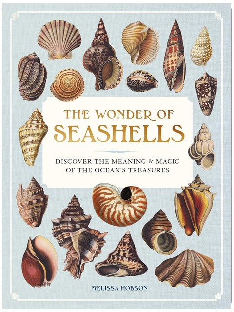 The Wonder of Seashells: Discover the Meaning & Magic of the Ocean’s Treasures (Ocean Wonders)