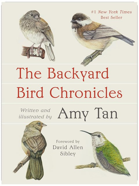 The Backyard Bird Chronicles