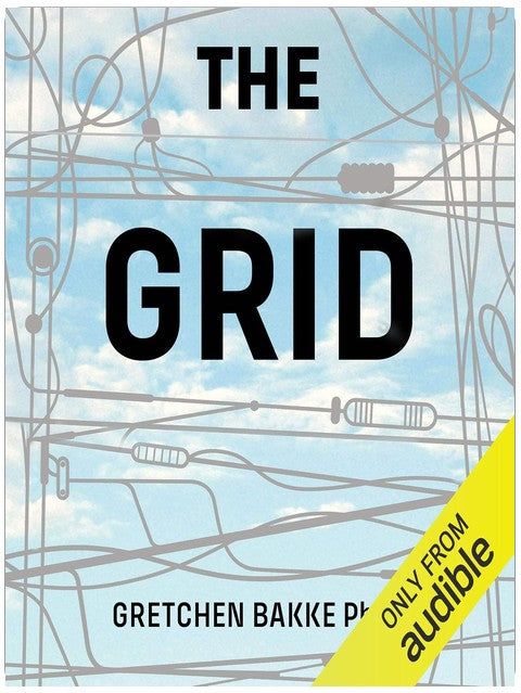 The Grid: The Fraying Wires Between Americans and Our Energy Future