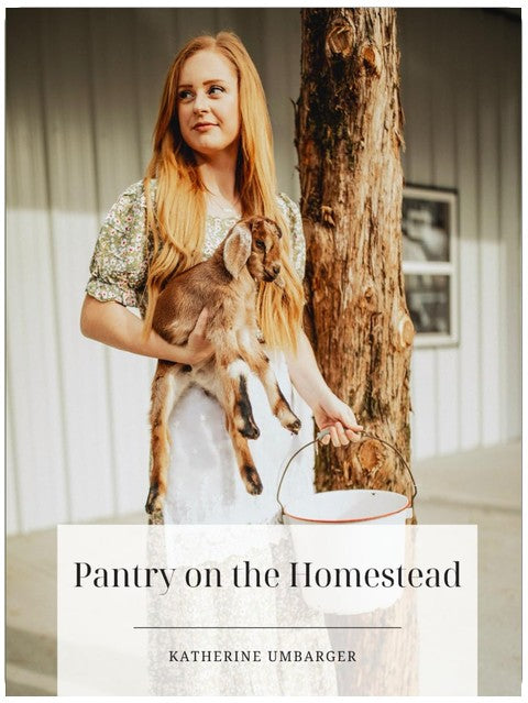 Pantry on the Homestead