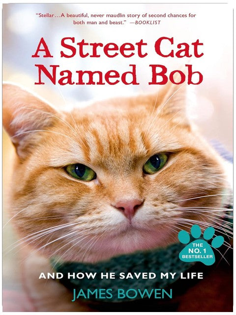 A Street Cat Named Bob: And How He Saved My Life