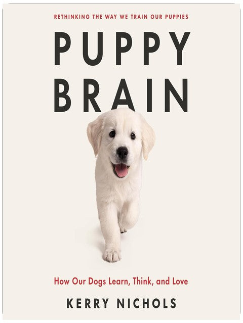 Puppy Brain: How Our Dogs Learn, Think, and Love