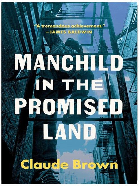 Manchild in the Promised Land