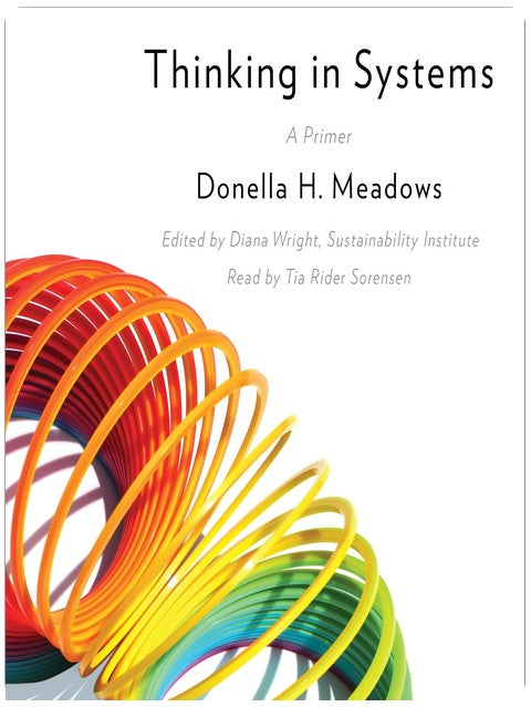 Thinking in Systems: A Primer