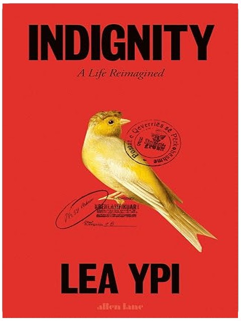 Indignity: A Life Reimagined