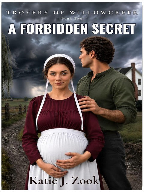 A Forbidden Secret (Troyers Of Willowcreek Book 2)