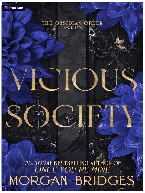 Vicious Society: A Dark Romance (The Obsidian Order Book 2)