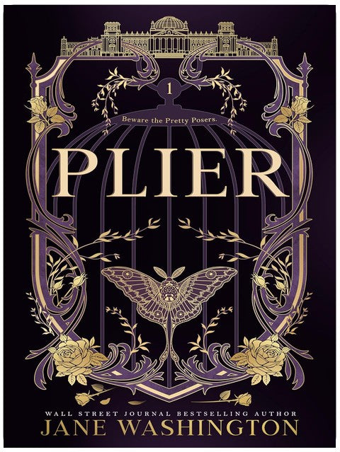 Plier (Ironside Academy Book 1)