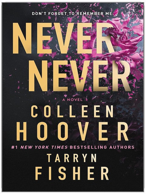 Never Never: A Romantic Suspense Novel of Love and Fate