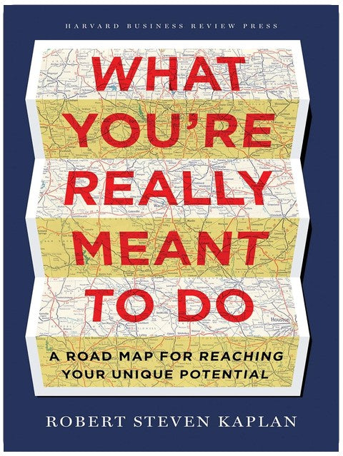 What You're Really Meant to Do: A Road Map for Reaching Your Unique Potential