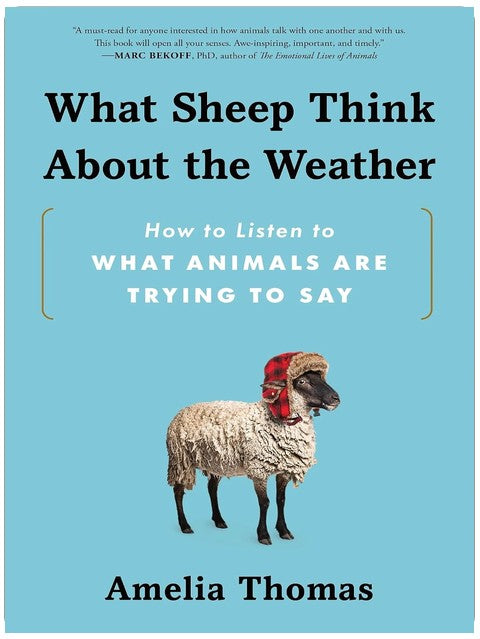 What Sheep Think About the Weather: How to Listen to What Animals Are Trying to Say