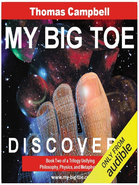 My Big TOE: Discovery: Book Two of a Trilogy Unifying Philosophy, Physics, and Metaphysics