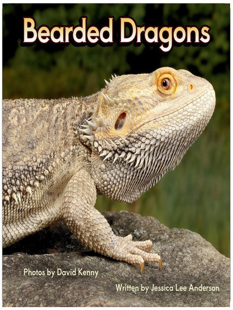 Bearded Dragons (Junior Animal Explorers)