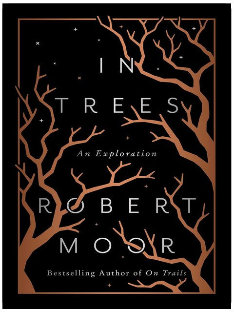 In Trees: An Exploration