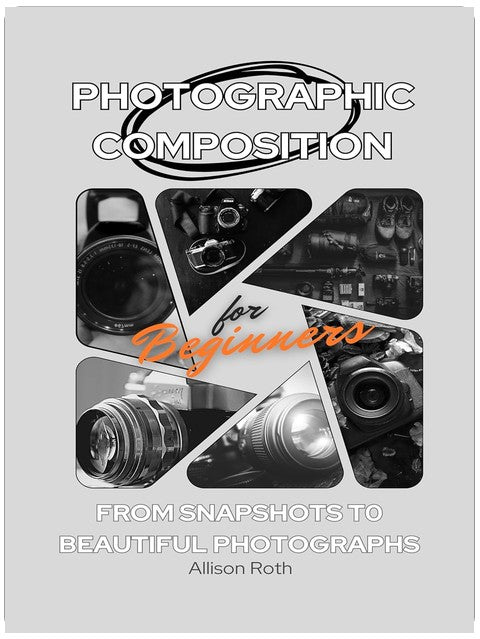 Photographic Composition for Beginners: From snapshots to beautiful photographs