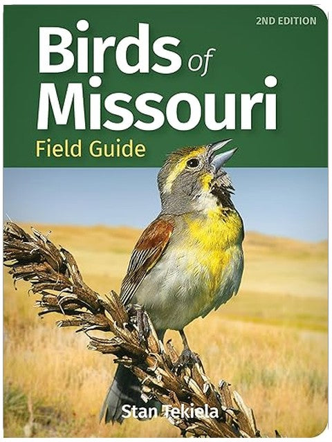 Title Book Cover