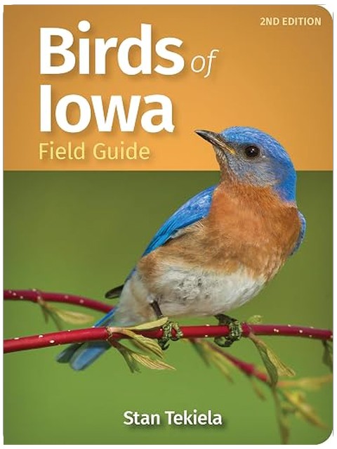 Title Book Cover