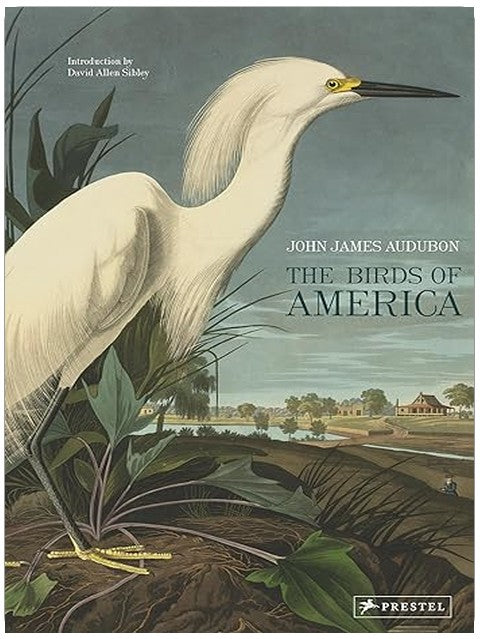 Title Book Cover
