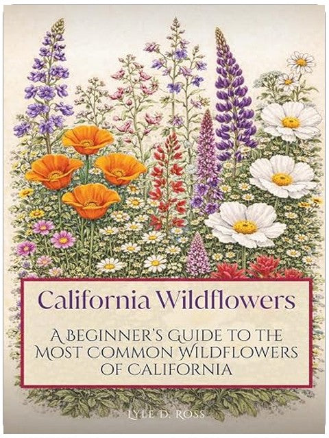 Title Book Cover