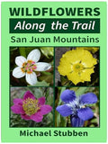 Title Book Cover