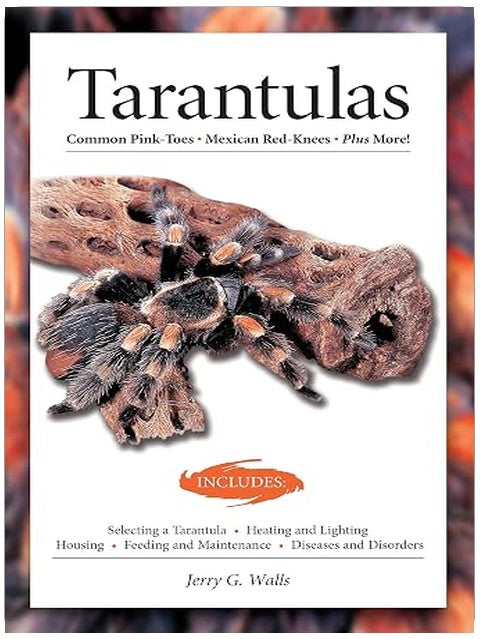 Title Book Cover