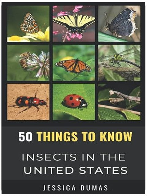 Title Book Cover