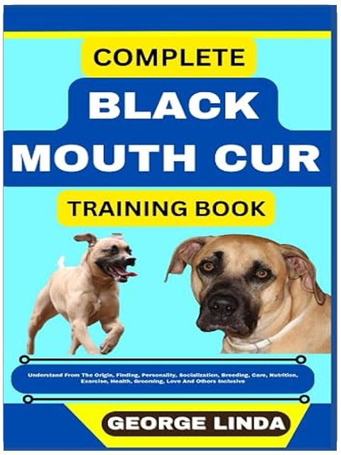 Title Book Cover