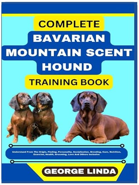 Title Book Cover
