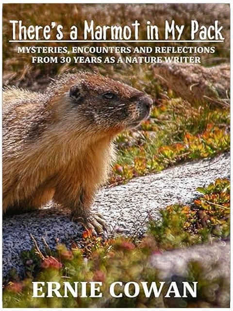 Title Book Cover