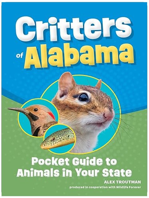 Title Book Cover