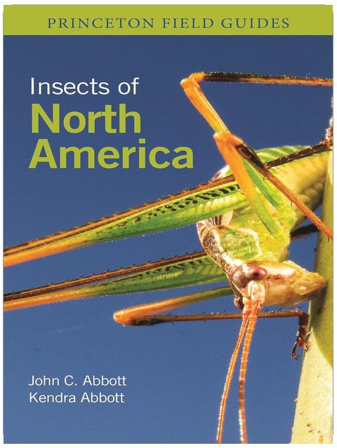 Insects of North America (Princeton Field Guides)