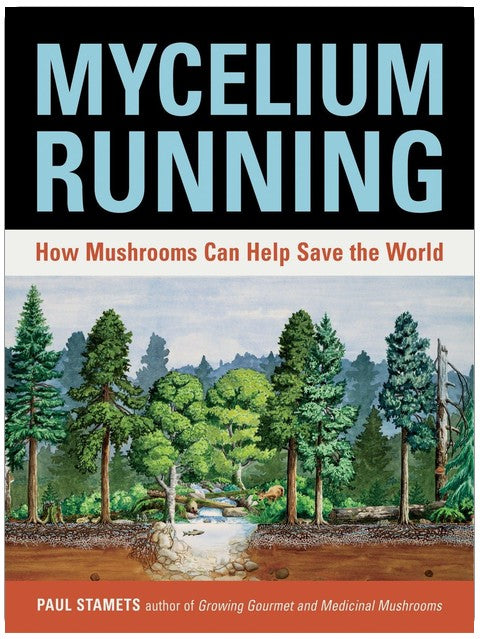 Mycelium Running: How Mushrooms Can Help Save the World