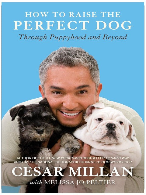 How to Raise the Perfect Dog: Through Puppyhood and Beyond