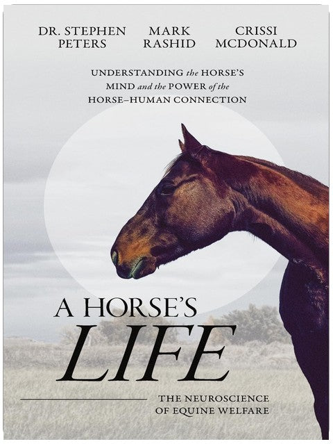 A Horse's Life: The Neuroscience of Equine Welfare