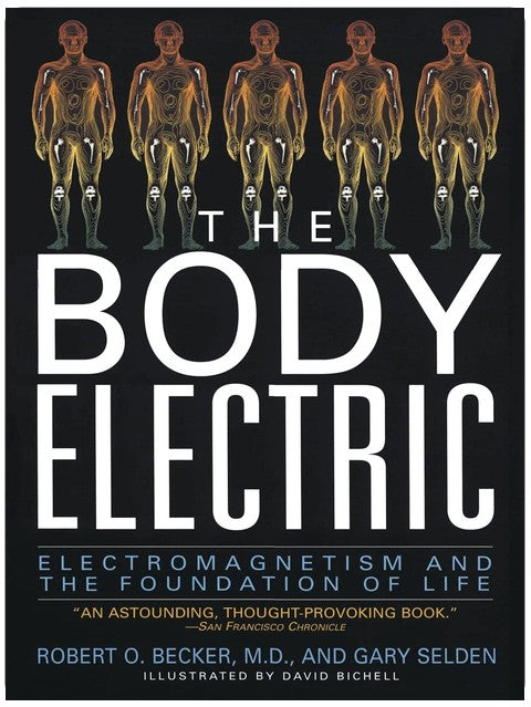The Body Electric: Electromagnetism And The Foundation Of Life