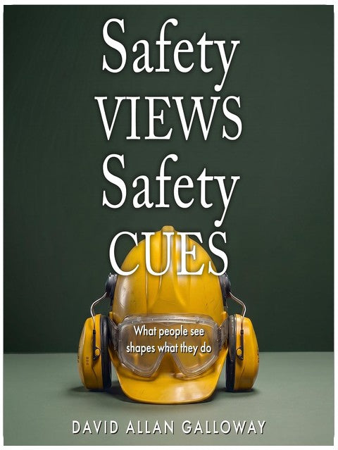 Safety Views Safety Cues: What People See Shapes What They Do (The Safety Influence Series, Book 2)