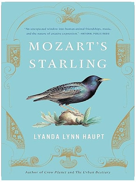 Title Book Cover