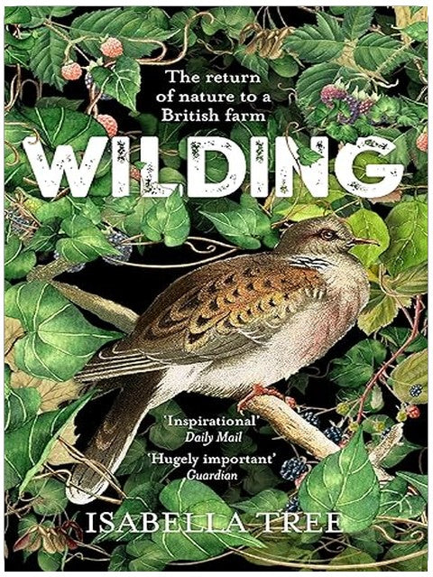 Title Book Cover