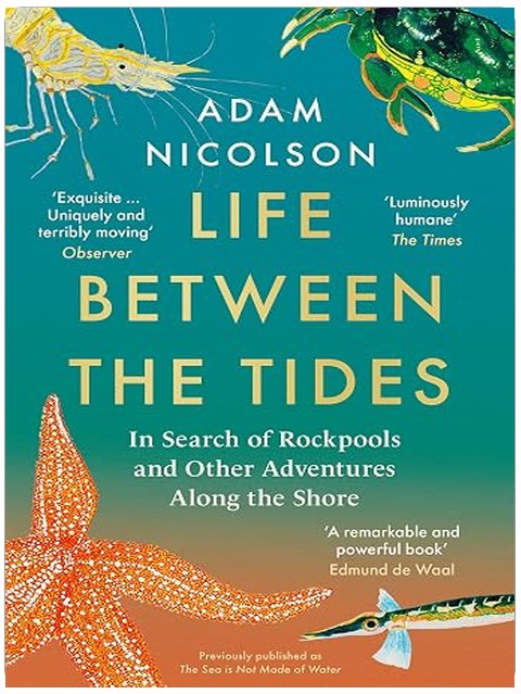 Title Book Cover